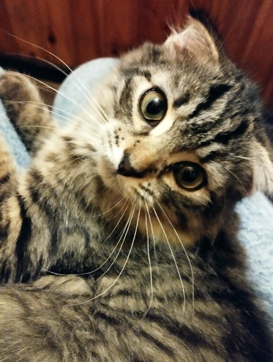 Как вы могли подумать на меня такое?? 