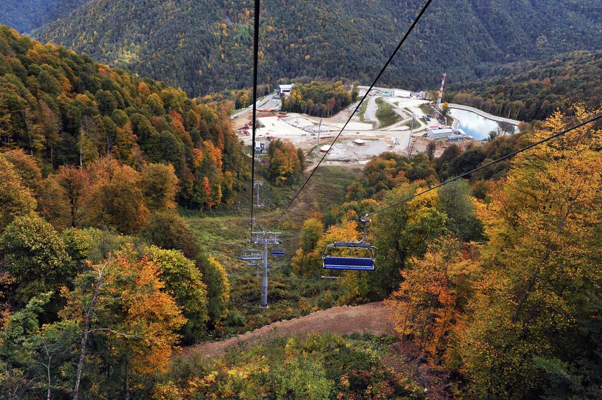 Канатка красная Поляна осень