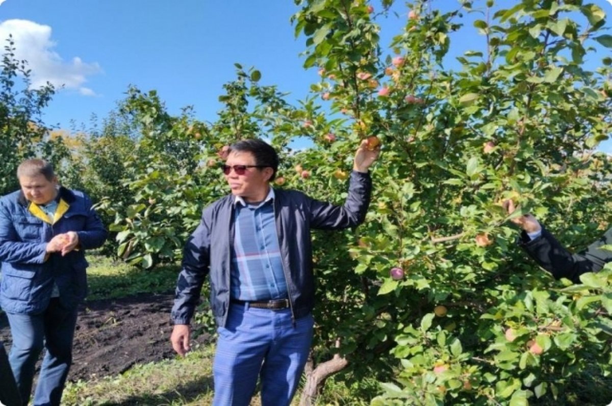    На Урале открыли карбоновую ферму