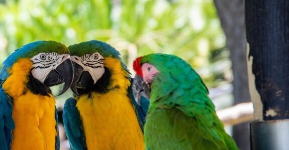 как-то так было, только там более темно было.