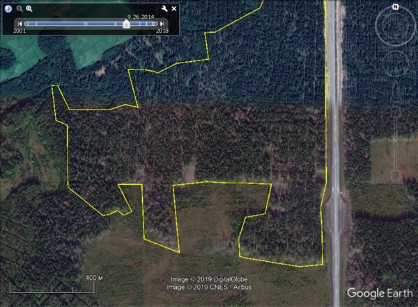 Спутниковый снимок участка до проведения сплошной санитарной вырубки. 2014 год.