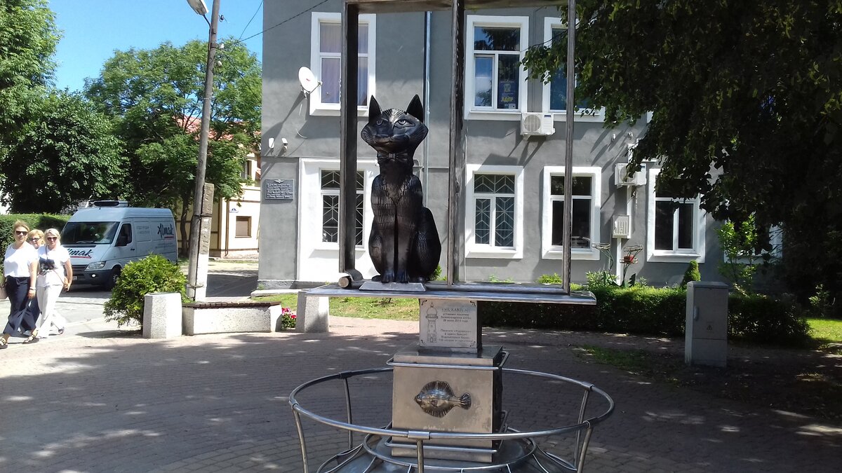 зеленогорск калининградская область город кошек. зеленоградск почему кошки. зеленоградск город кошек. город кошек зеленоградск калининградская область. зеленоградск город кошек.