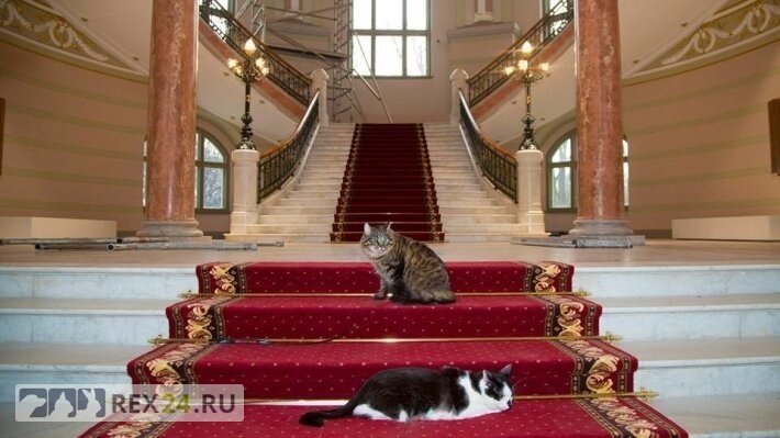 Фото: pxhere.com