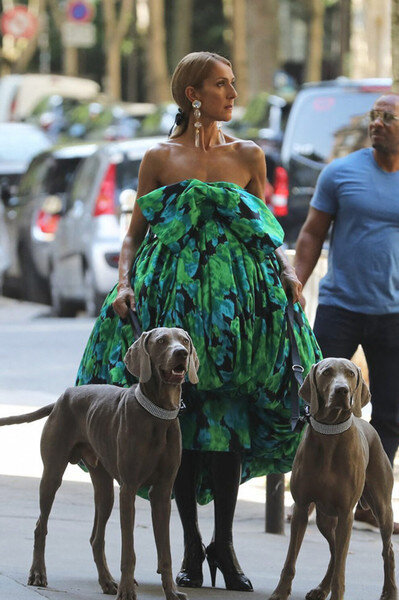 Селин Дион в платье-баллон Richard Quinn