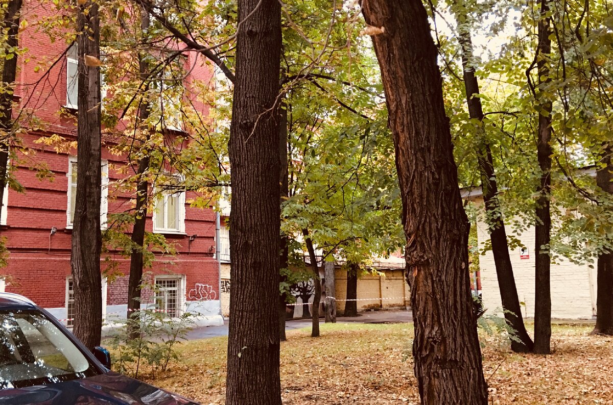 Дождь за окном, холодно в квартире, да и разговоры окружающих не заряжают оптимизмом  