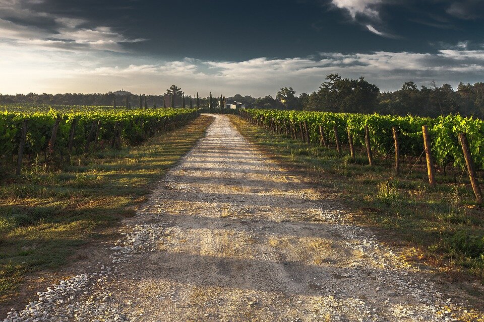 https://cdn.pixabay.com/photo/2014/08/26/15/15/country-lane-428039_960_720.jpg