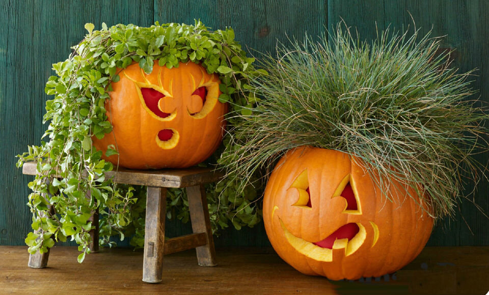 Фото https://yandex.ru