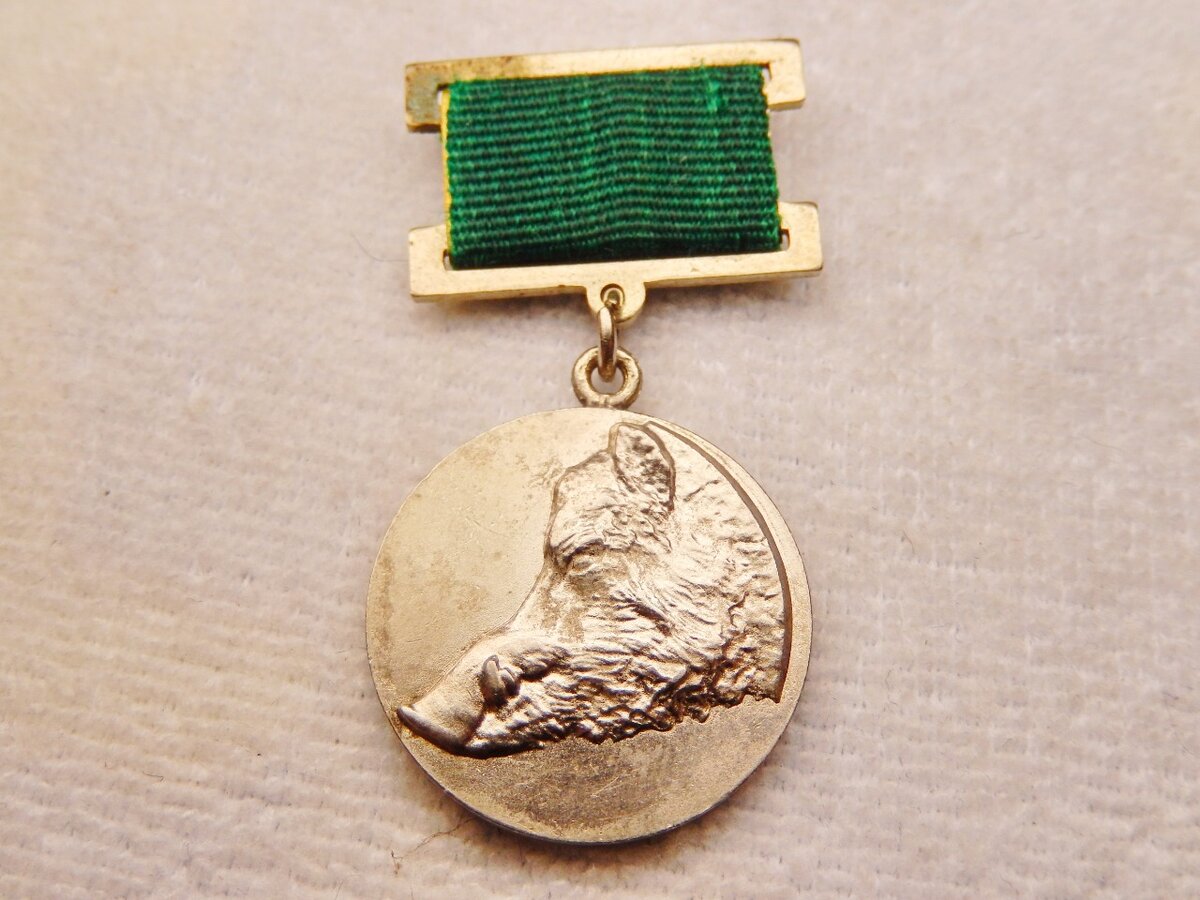 листайте вправо