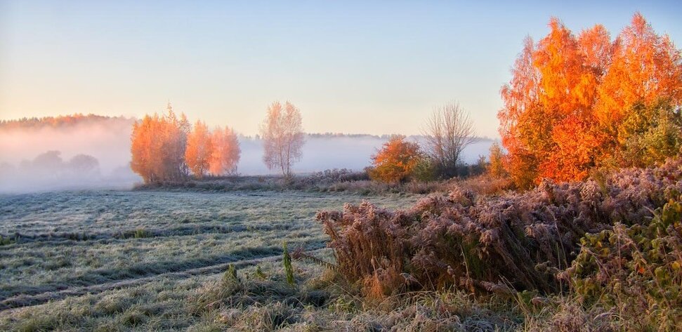 фото яндекс картинки