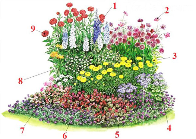 Красивые клумбы из многолетних цветов: 84 фото, готовые схемы | irhidey.ru