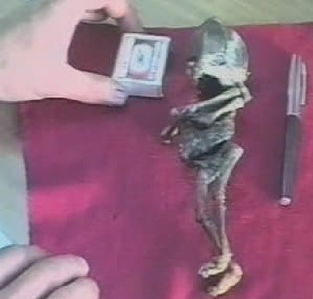 Фото с открытого источника Яндекс поиска