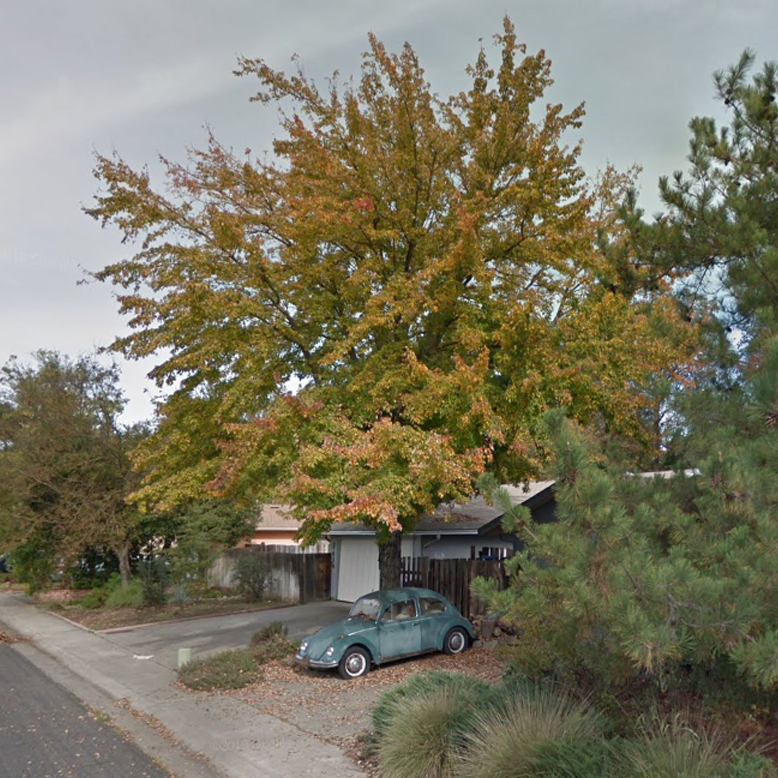 Volkswagen Beetle/Käfer 🐞 Эволюция легенды | Припаркованные в Гугле | Дзен