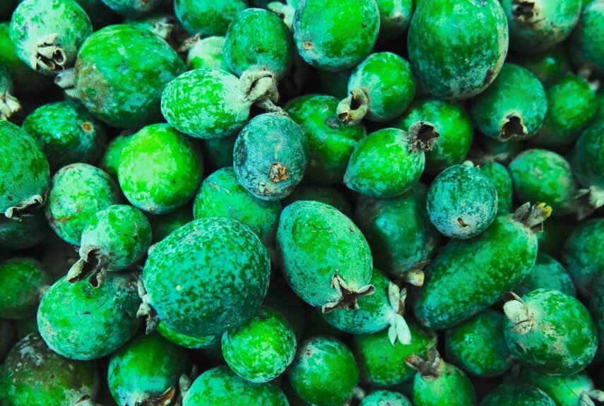 Фото: unsplash.com