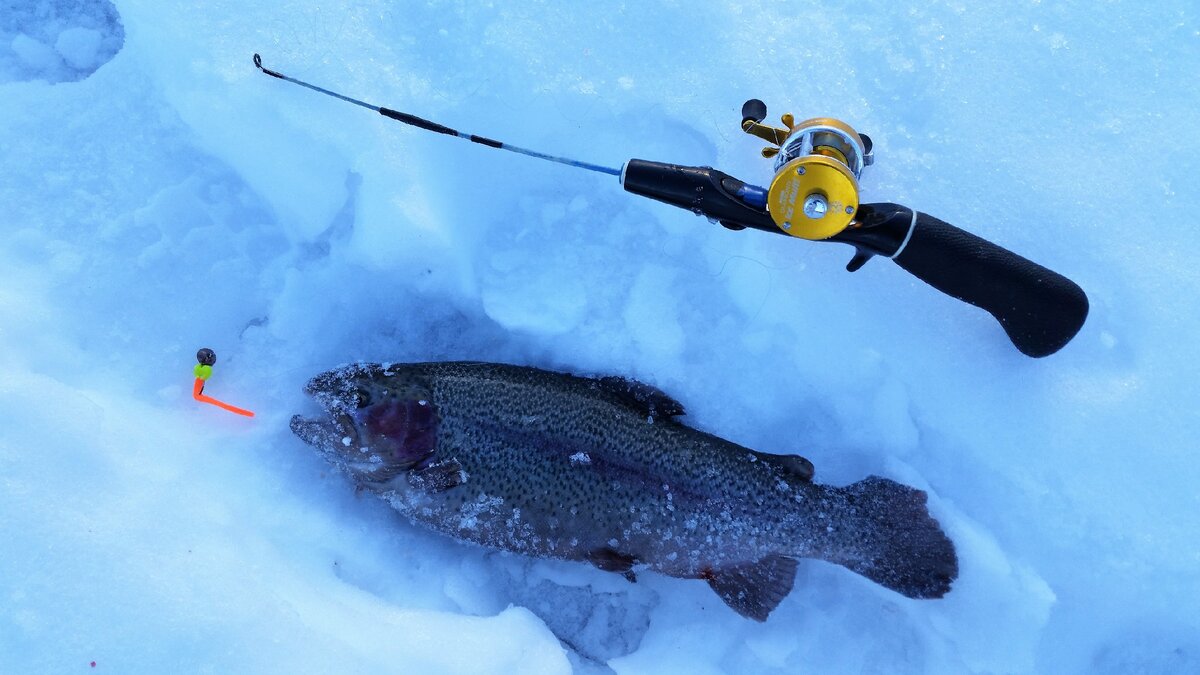 Удочка для ловли на блесну и нимфу