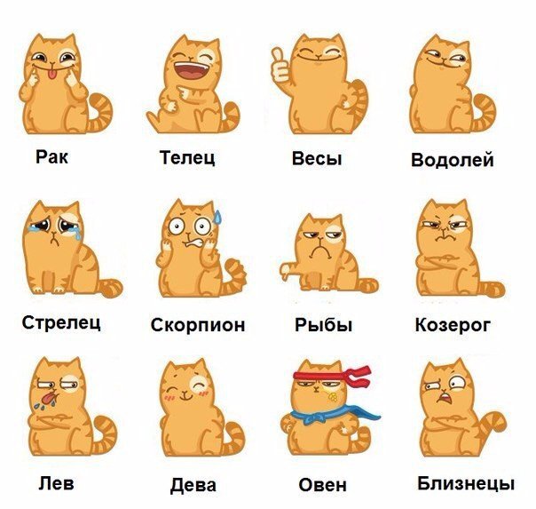 Яндекс.картинки