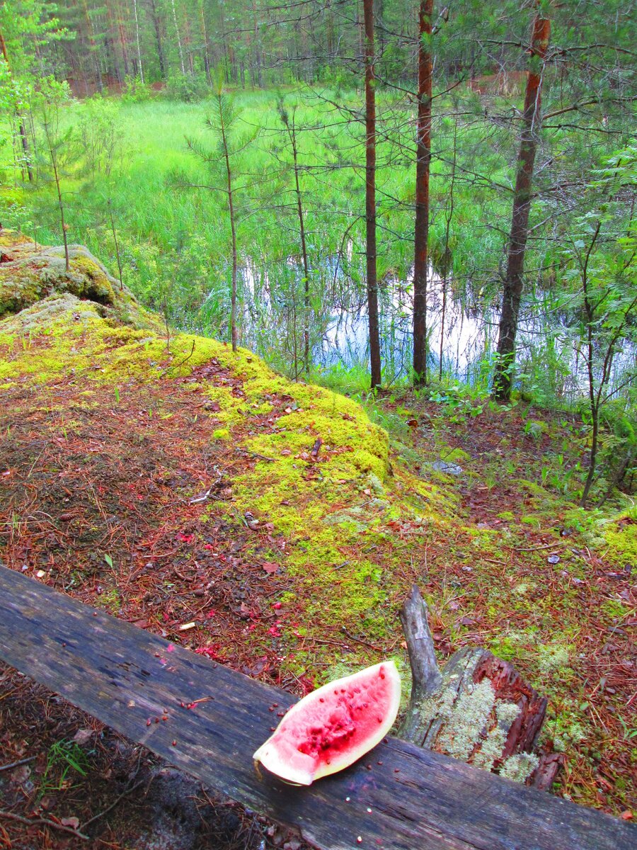 У старого барака на скамейке