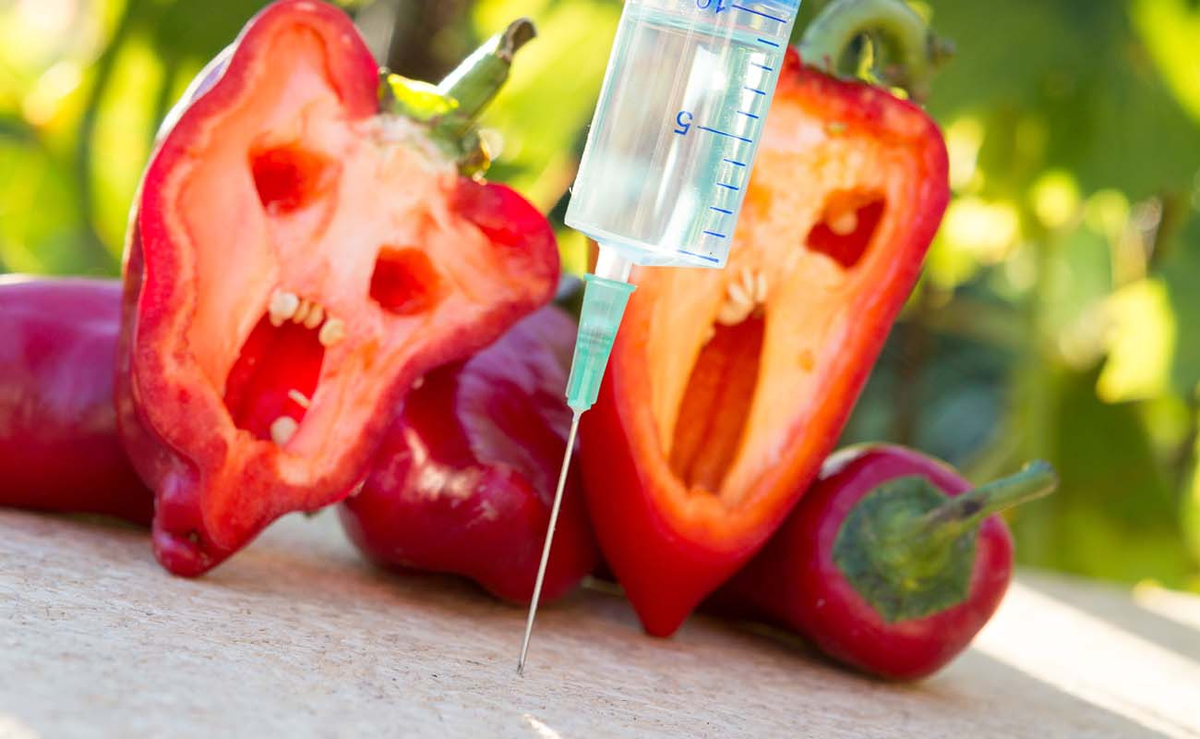 генномодифицированные организмы. гмо генная инженерия. генная инженерия модифицированный. генная инженерия модифицированный. генетически модифицированные растения.