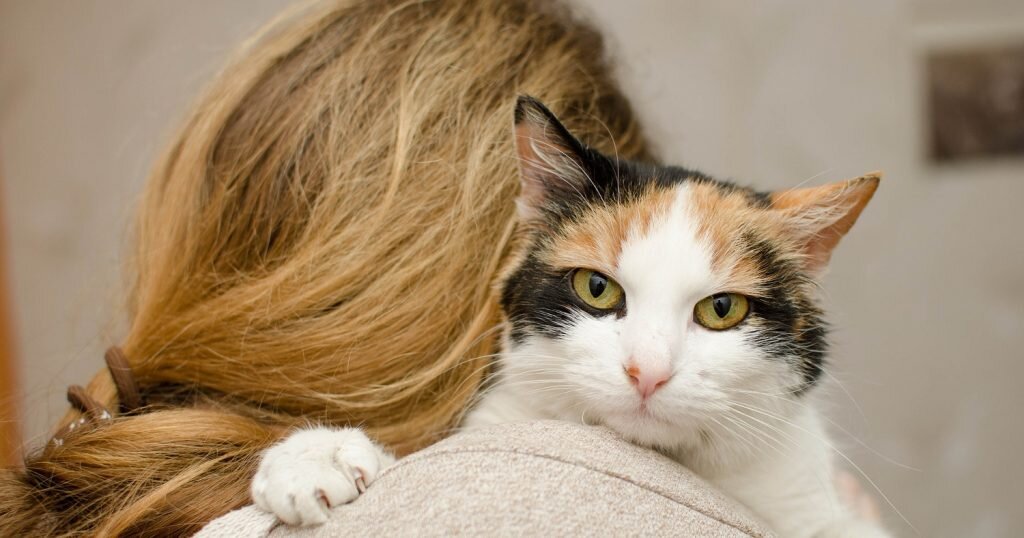 Взято из открытых источников. 