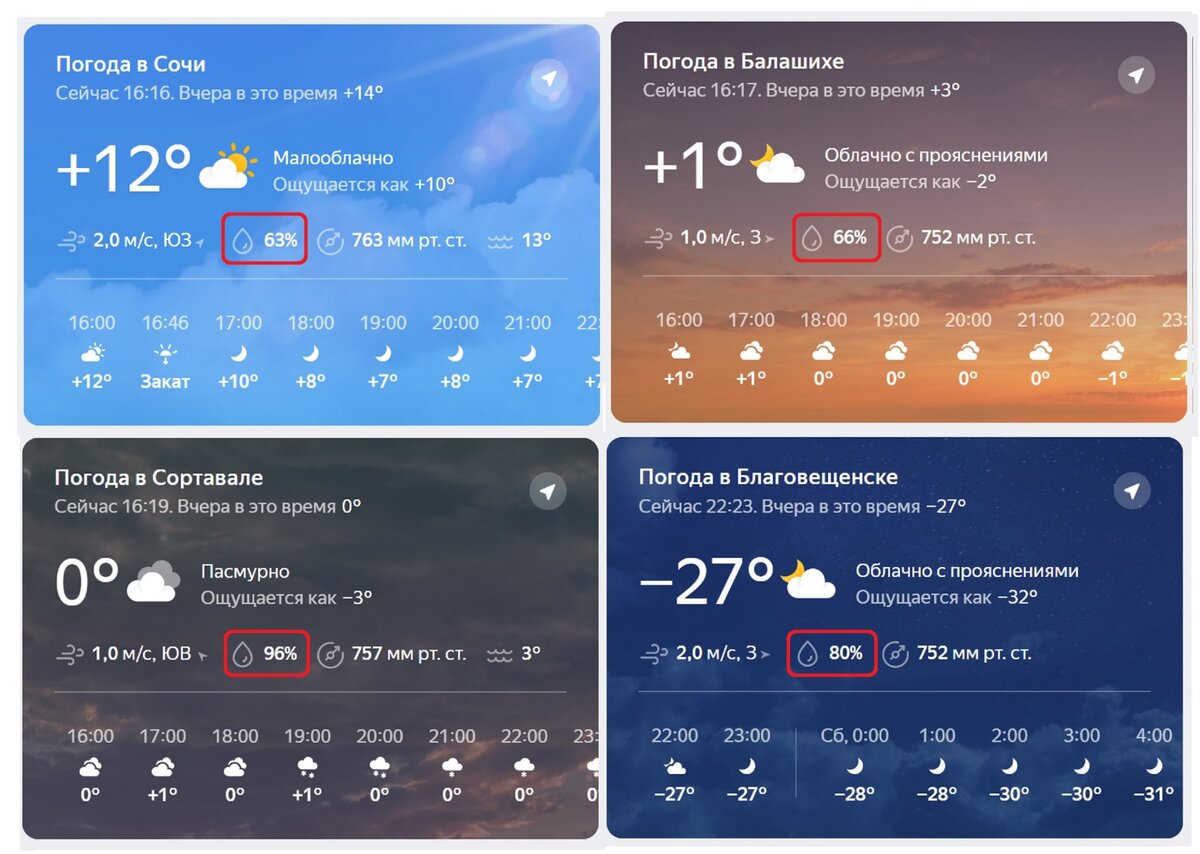 Влажность в сочи