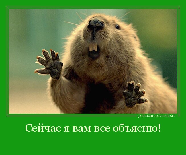 Наш любимый комментатор)))