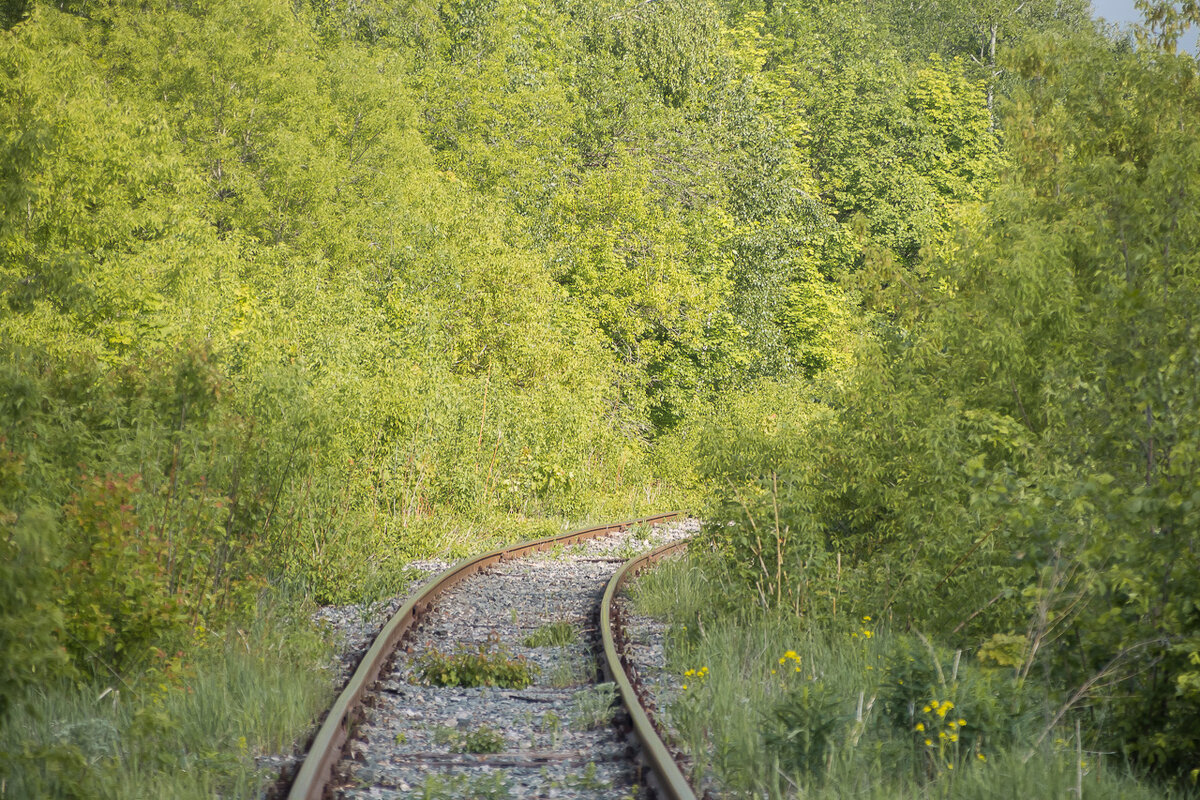 Перегон Аксаково - стрелочный пост Весёлая Роща. 2019 год.