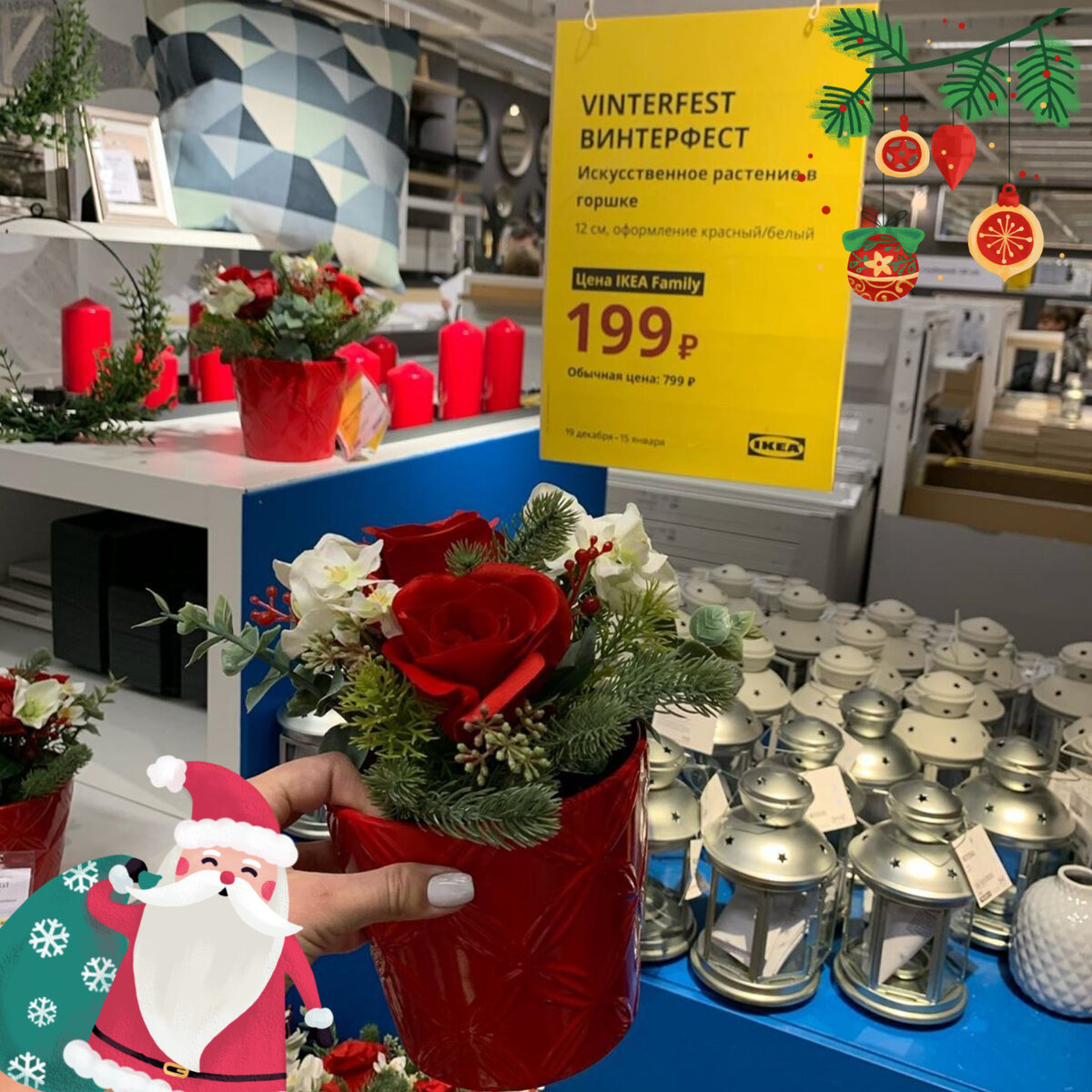 Источник: https://www.instagram.com/p/B623LTZlpKN/