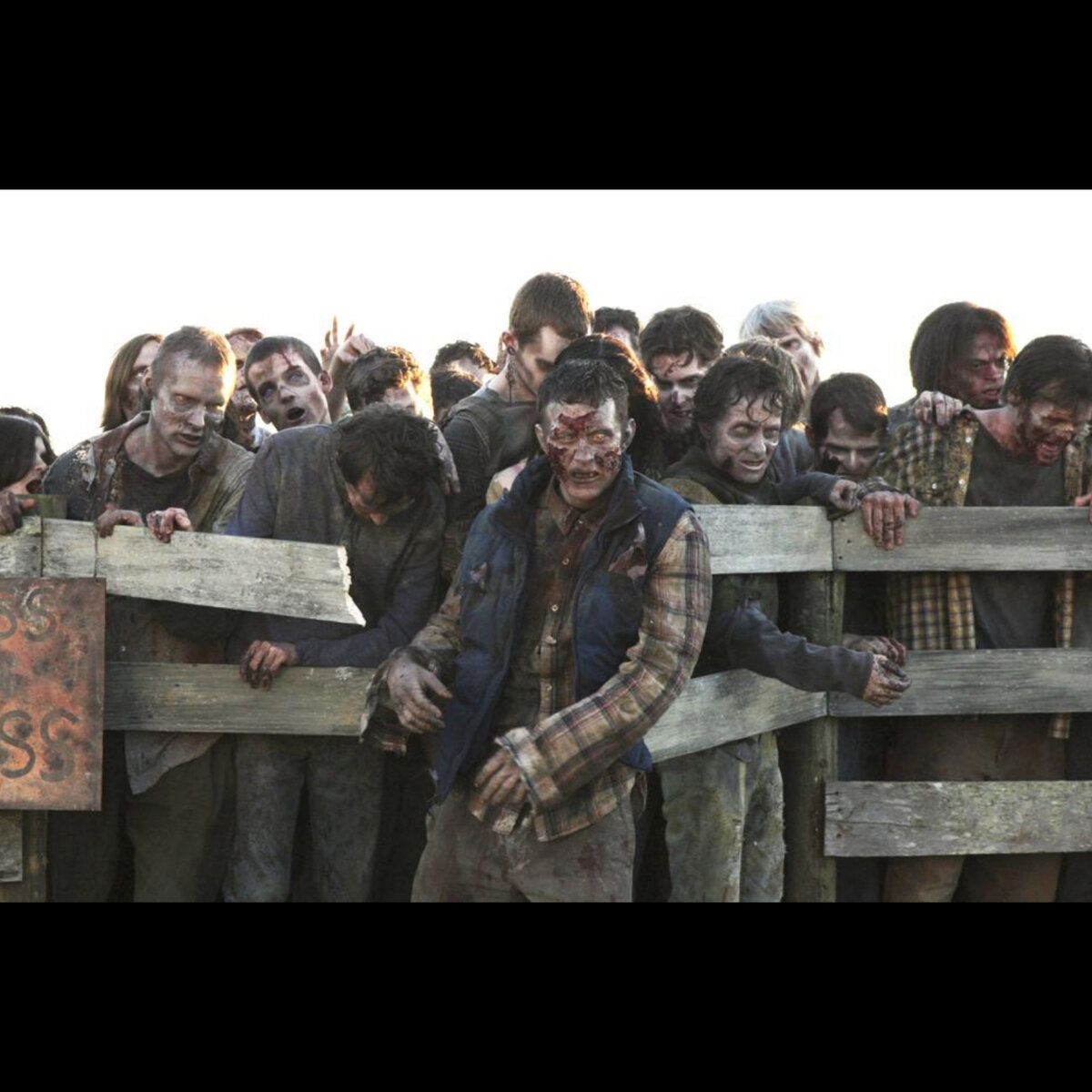 Изображение взято из свободного доступа