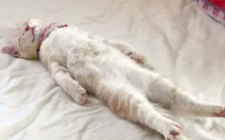 Источник: pinterest.com