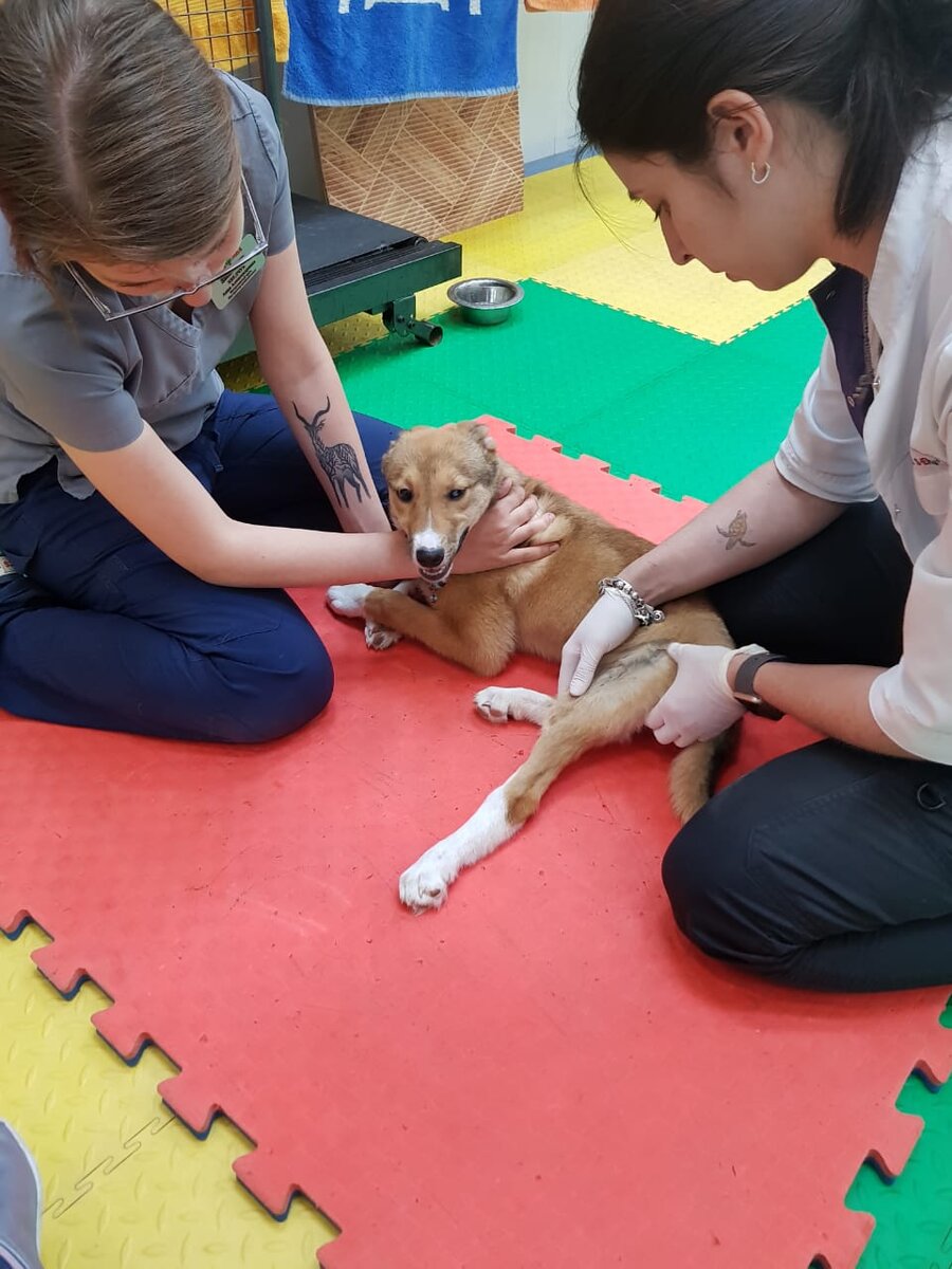 Еженедельный массаж в клинике. Фото автора : Зоидзе Софико 