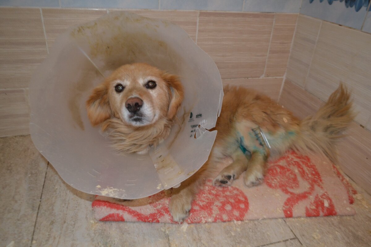 Олежка еще лечится