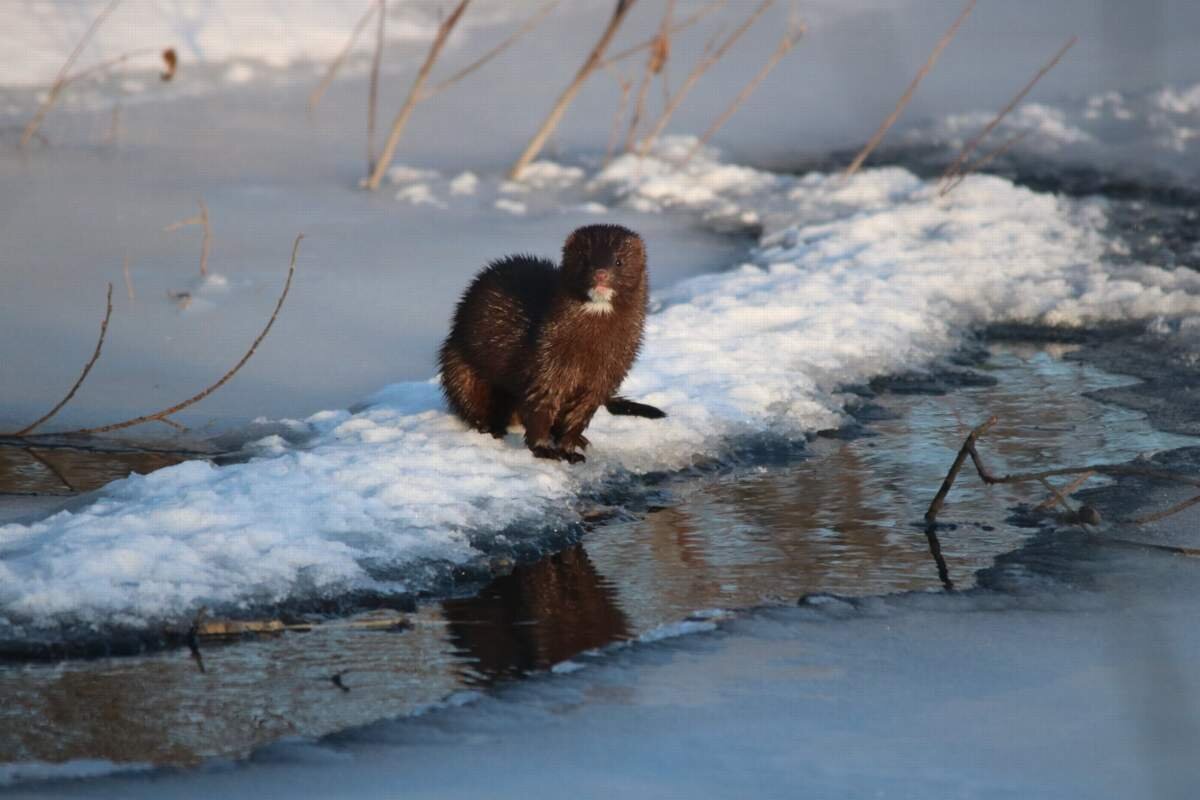 Фото Алексея Третьякова.