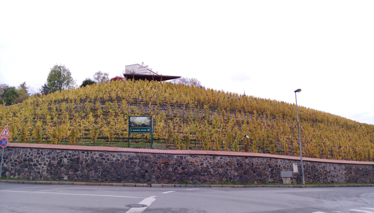 По пути в парк