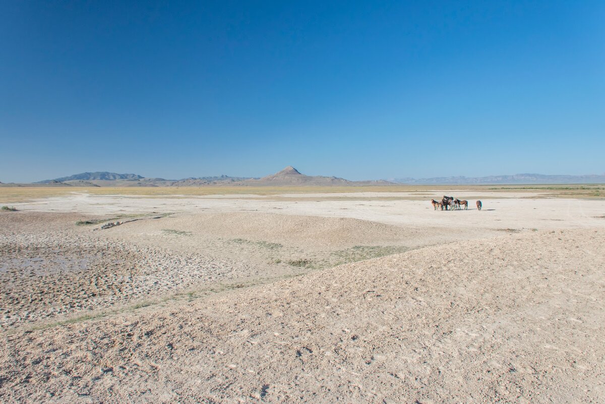 Пустыня Большого Бассейна