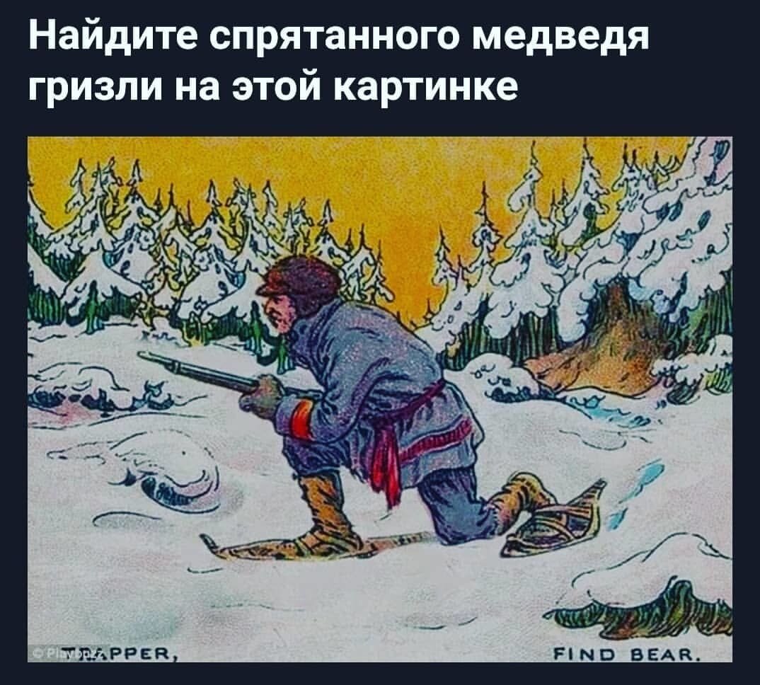 Найди медведя на картинке ответ