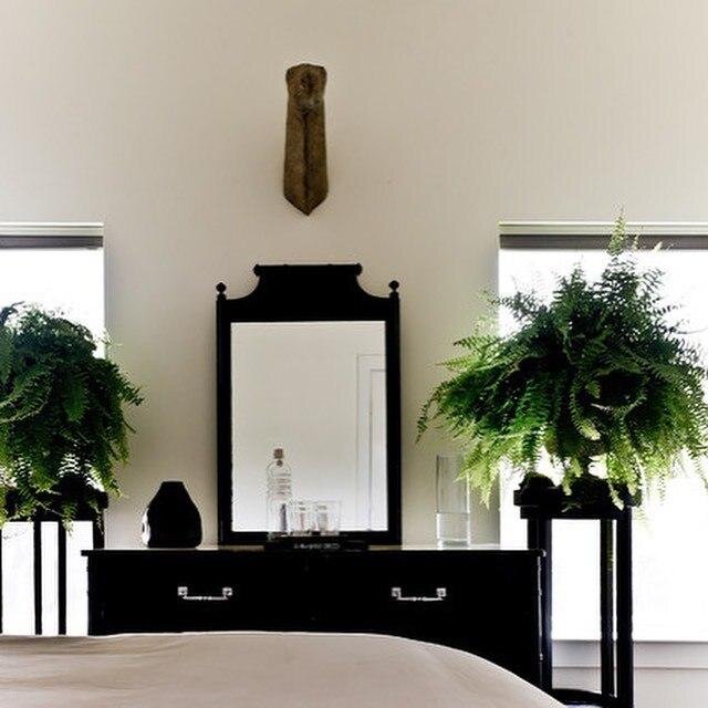 Темную мебель нужно ставить в интерьер, выдержанный в спокойных тонах. Например, для темного гарнитура прекрасным фоном станут песочные стены и светло-коричневый пол.