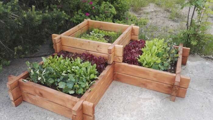 24 плана и идеи садовых грядок своими руками, которые вы можете построить в своем саду