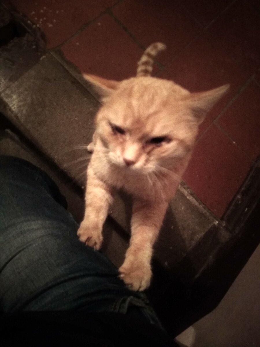 Фото от автора