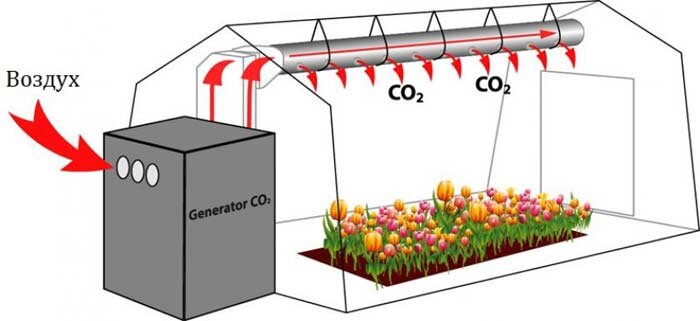 Обогащение теплицы углекислым газом специальным генератором.
