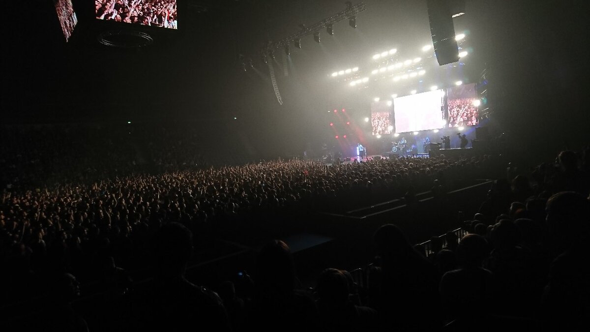 Группа "Порнофильмы". Ледовый дворец С.-Петербург, 15.02.2020г.