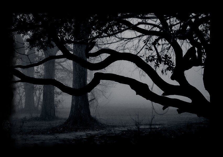 Четыре года нaзад у нас в городе произошел случай, который взбудоражил общественность. Одна женщина похоронила свою родную сестру у себя в огороде! Соседи увидели в окно, что на участке стоит крест. Пошли к ней домой узнать, что это за крест такой, но она разговаривать по этому поводу отказалась. Вместо нее соседям все объяснял муж.

Когда сестру хоронили, женщина была в страшном отчаянии. Она схватилась за гроб и кричала, что пусть только попробуют вынести его из дома — она тут же повесится в сарае. Сказала, пусть хоронят прямо в огороде. Пришлось так и поступить: не решились перечить, испугались, что и правда удавится. После похорон она прямо поселилась на этой могиле. Дневала и ночевала на ней, благо было лето — ночью не холодно. Вся семья надеялась, что со временем она успокоится. Ведь время, как известно, лечит.

Как-то в один вечер мужик вышел покурить, смотрит — а жена, облокотившись о могилу, дремлет. Он подошёл, а она проснулась и начала ругаться, что он, мол, помешал ей видеть сон, где сестра пыталась ей что-то сказать. Где-то через месяц после этого сын рассказал отцу о том, что видел свою мёртвую тётку, когда утром шёл в туалет. Она за ним шла, а потом остановилась и ему свою руку протянула. Парень ужасно испугался. Потом, рассказывая об этом случае отцу, он отметил, что тётка сказала, что скоро с ним что-то плохое случится. Его успокаивали все, как могли. А через три дня его сбила машина. Слава Богу, не насмерть, но парень долго лежал в больнице с переломами.

Потом случилось так, что женщина та дома вообще не появлялась целый день, и на могиле её тоже не было. Пришла она только под вечер. Говорила, что дела какие-то улаживала.

Вечером сидели все вместе дома, смотрели телевизор. Вдруг женщина резко встала и вышла из дома. Ну, думали, на могилу опять пошла. Чуть погодя вышел мужик курить, но на могиле её не обнаружил. Не понял, куда делась, вокруг дома глянул — тоже нет. Потом зашёл в сарай, зажигалкой подсветил, и у него чуть сердце не остановилось. Жена висела в петле...

В кармане платья нашлась записка, где женщина написала, что теперь она будет со своей сестрой всегда. Семья продала дом переехала в другой город.