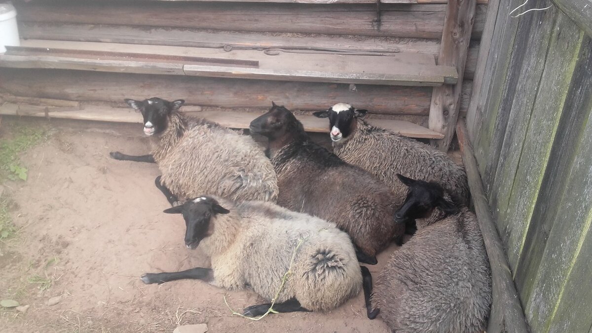 Глянь на себя и на нас. И еще раз на себя и на нас. Да, нам хорошо!