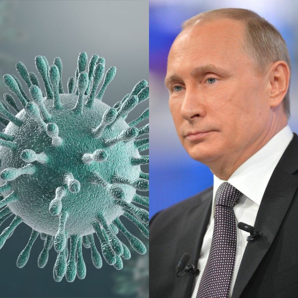 Картинки с punters.se и yandex.ru