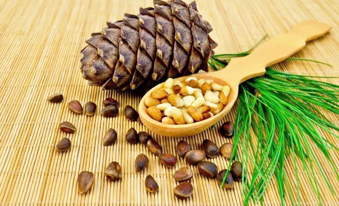 Кедровые орешки-кладезь витаминов и минералов.