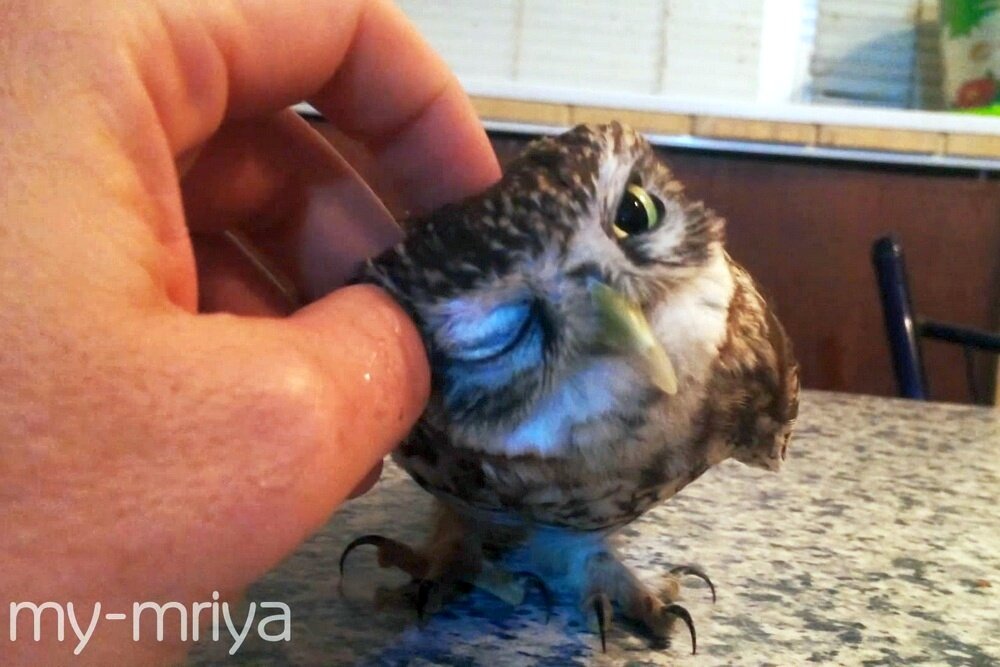 Майка следит за тобой !!!  Так что без лайка или комментария не уйдешь )