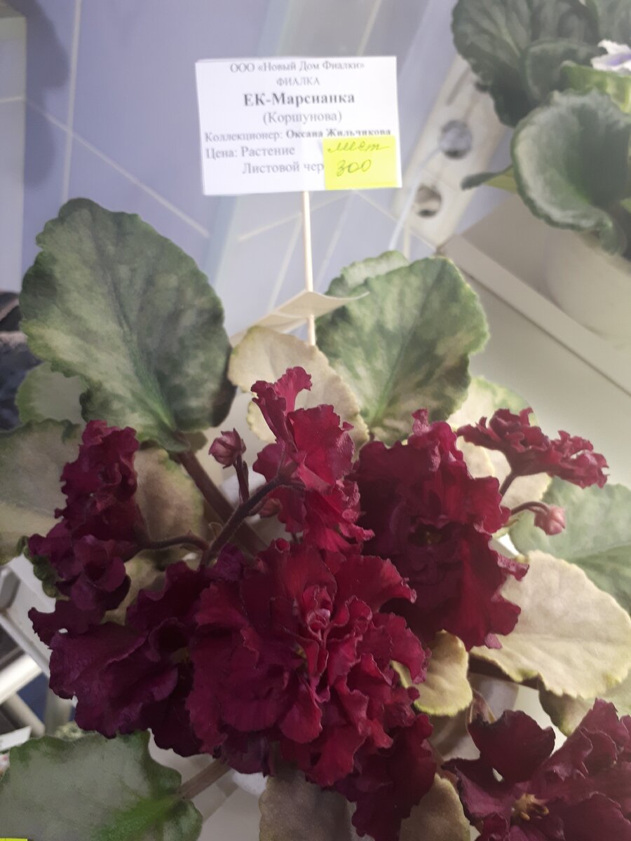 И как огромные розы (хотя розы терпеть не могу)