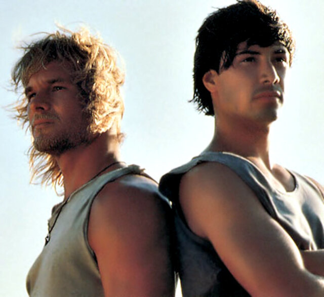 Фото Яндекс. Картинки