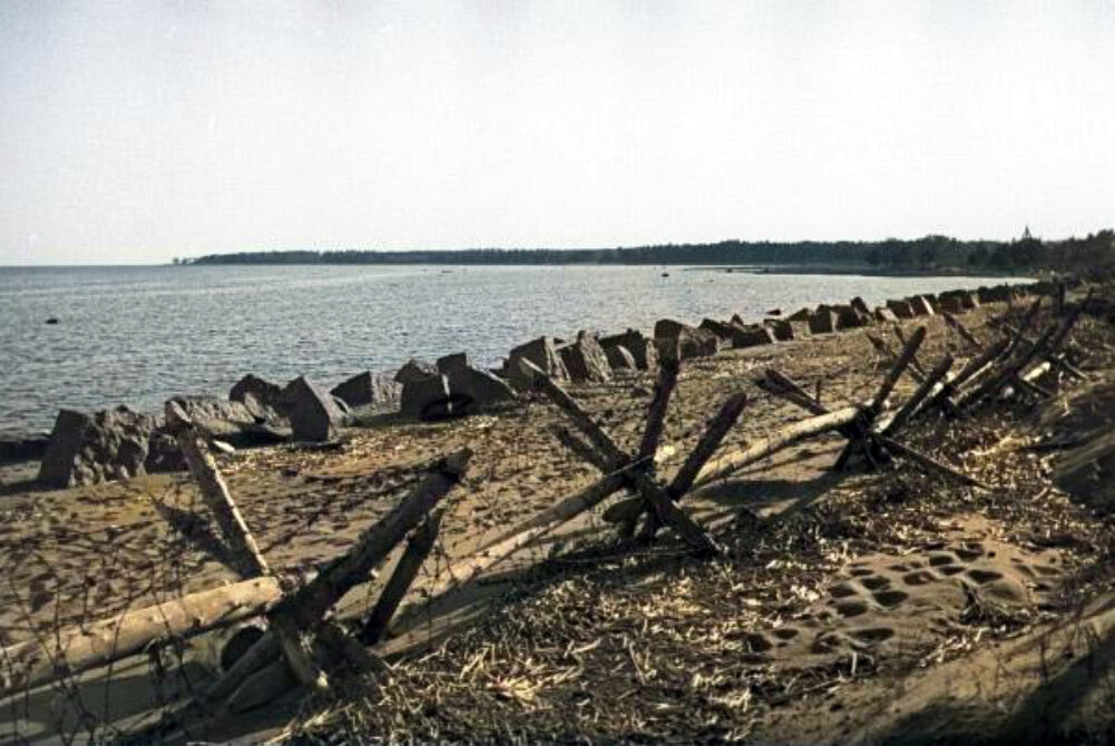 Противотанковые заграждения на приморском участке Карельского перешейка. Карельский фронт. 1944 г. Автор: Сергей Шиманский. Фотография использована в качестве иллюстрации.