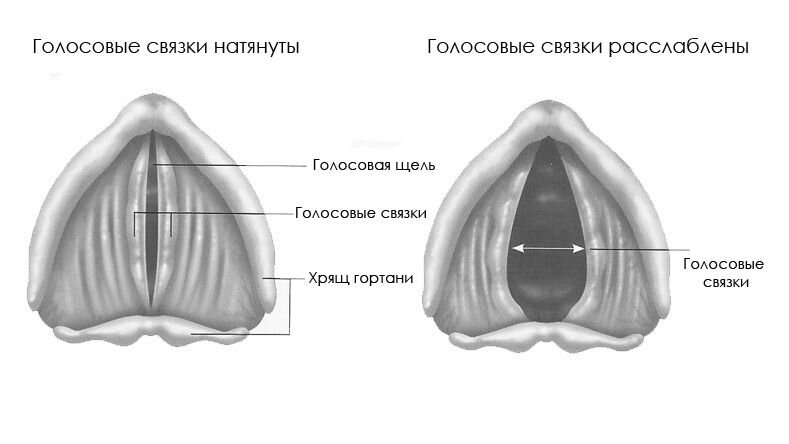 Уджайи пранаяма