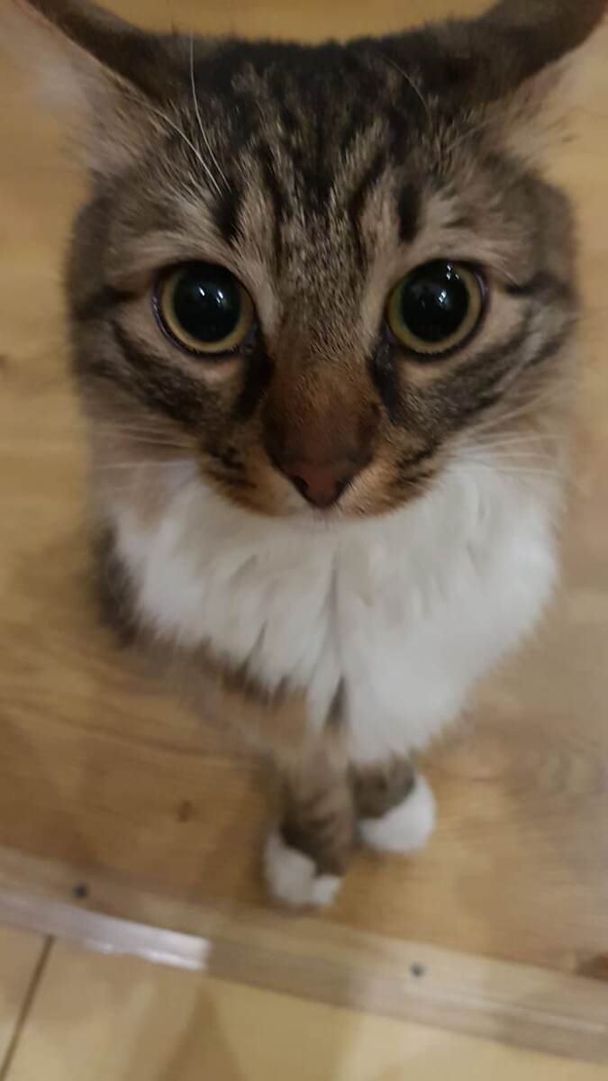 Маня сегодня с нами ) фото из личного архива