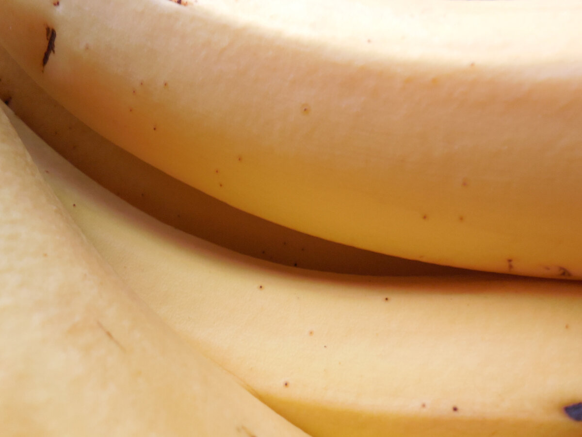 Для жарки подойдут и такие. Но в идеале дать им полежать ещё пару дней